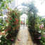 Autres éléments de décoration extérieure pour espace extérieur, 24,2 m (79,5 pi), comme sur la photo, avec cadre en métal, supports pour deux jardinières.