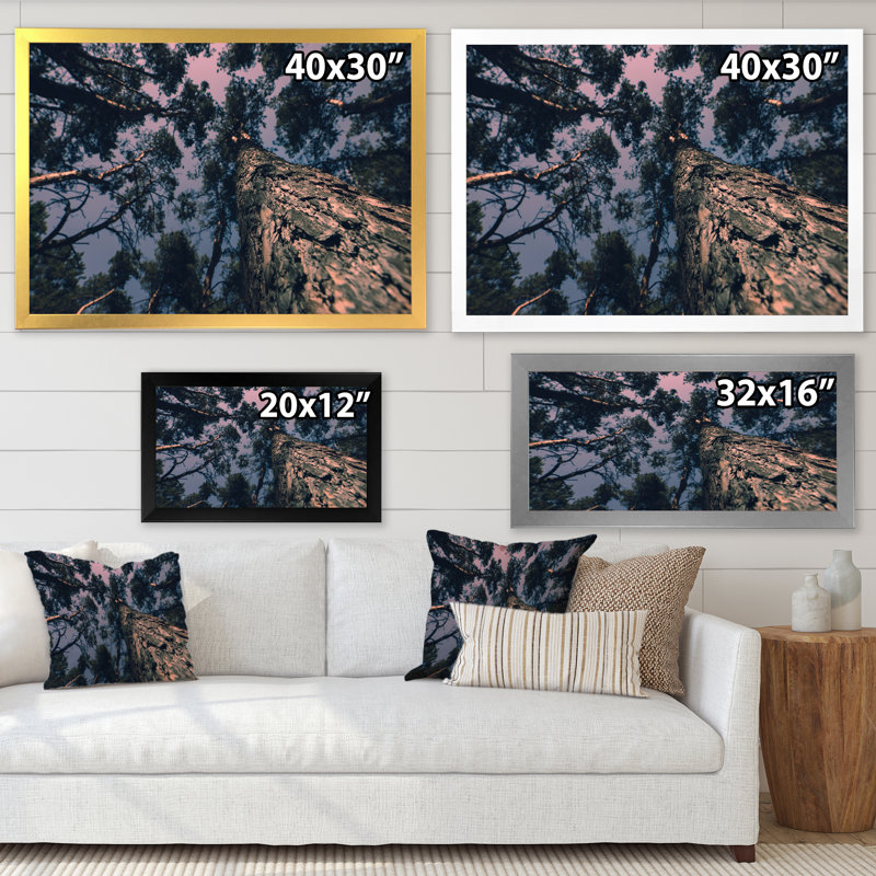 «Magic Landscape with Pine Tree And Dramatic Sky I», reproduction d'art sur toile tropicale, H 30 po x l 40 po