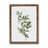 Olive Tree by Pierre-Joseph Redoute - Single Picture Frame Painting-48224249-48224253