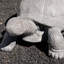 Statue de jardin en polystone Aariana