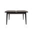Prweitt Extendable Dining Table