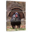 Brampt Strutting Tom Turkey