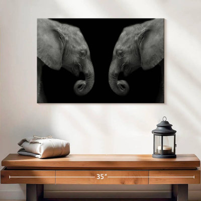 Elephant Sanctuary