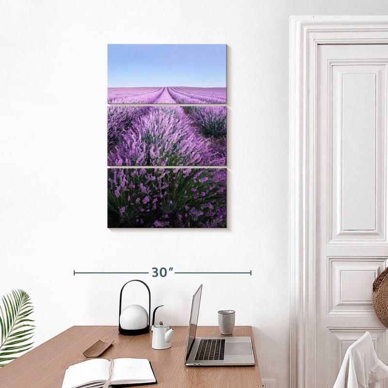 Lavande française Alvord Provence, H 32 po x l 20 po