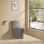 Toilette en céramique à double chasse économisant l'eau pour une salle de bain confortable