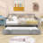 Jaye Wooden Daybed with Twin Size Trundle-162183907-162183904