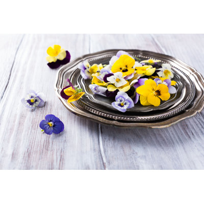 Fleur comestible - photographie sur toile tendue
