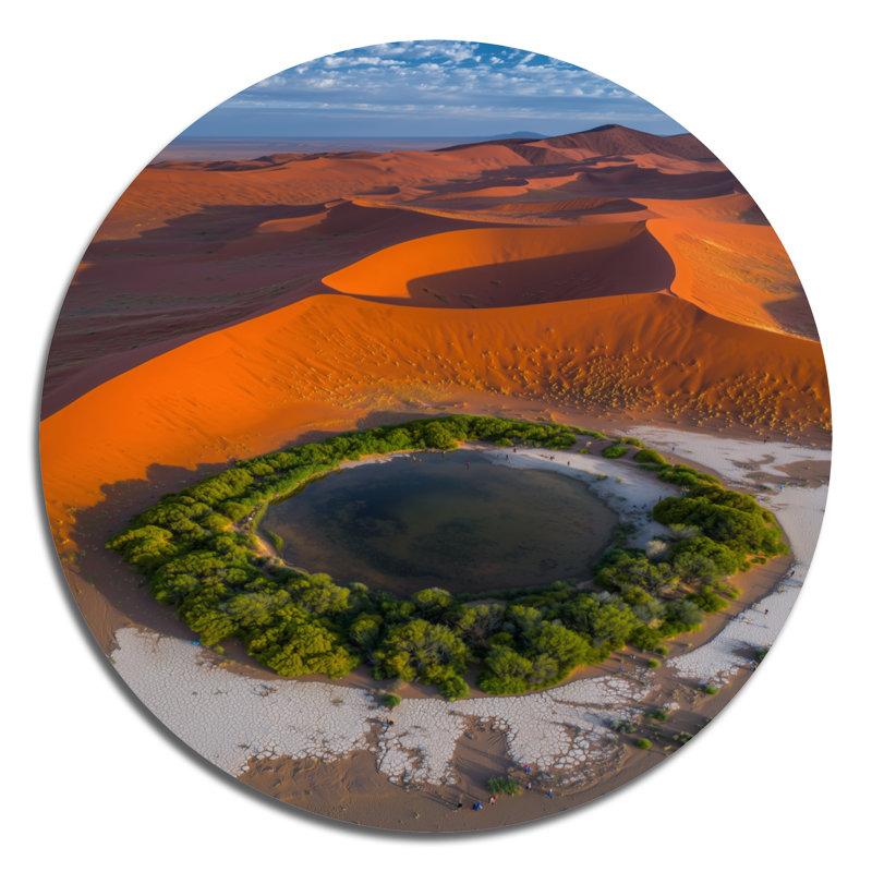 Une photo aérienne du désert du Sahara Oasis II - art mural en métal vert global, impression ronde du désert