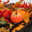 GOLDEN HARVEST 183cm Faux Garland