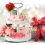 Plateau Herlene-369590037
