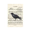 Blackbird With Large Bird - Wrapped Canvas Print-897431865