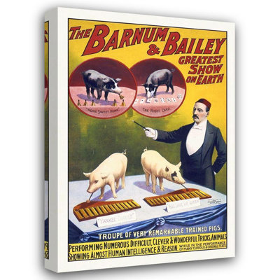 Hollywood Photo Archive The Barnum and Bailey Greatest Show On Earth, Troupe Remarkable Trained Pigs