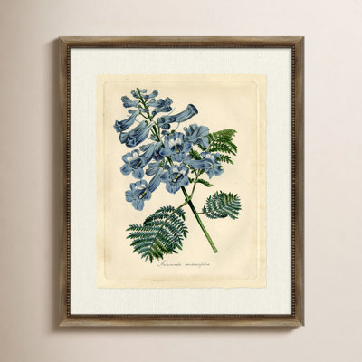 Wendover Art Group "Jacaranda" Painting