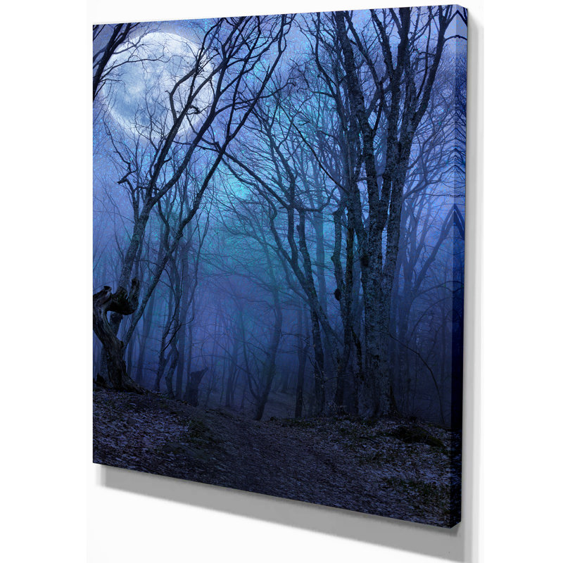 Reproduction de photo sur toile tendue, "dark night forest" , reproduction de photo à grande lune paysages