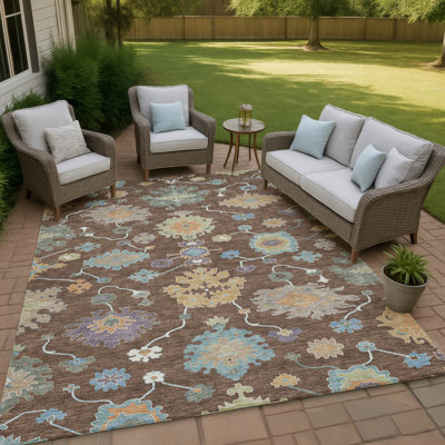 Machine Washable Indoor/Outdoor Chantille ACN2532 Traditional Rug