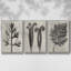 Blossfeldt Botanical I 3 pièces-97758450-97758449