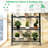 Harpster Plant Stand