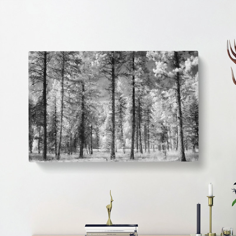 Montana Forest - Wrapped Canvas, 60cm H x 91cm W x 3cm D