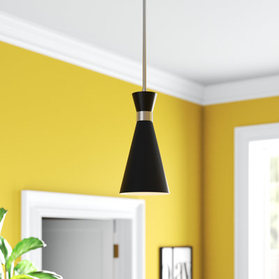 Luminaire suspendu à 1 lumière