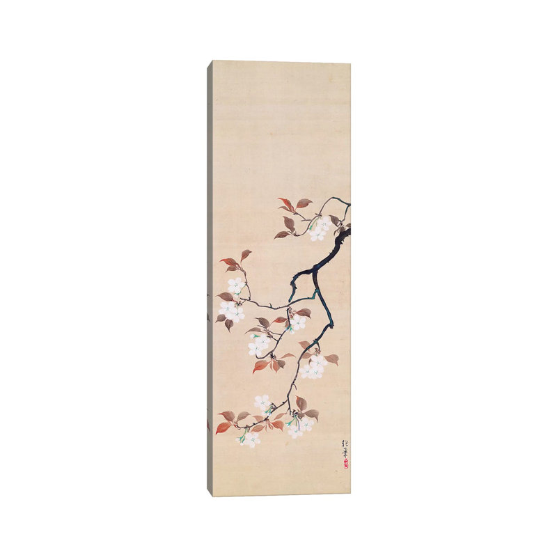 Hanging Scroll Depicting Cherry Blossoms by Sakai Hoitsu - Wrapped Canvas Panoramic Gallery-Wrapped Canvas Giclée