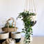Support pour plante Alessia