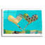 Art mural en verre épique «Sw Cherts 2» par Laura Gibson, 24 po x 16 po-174715966