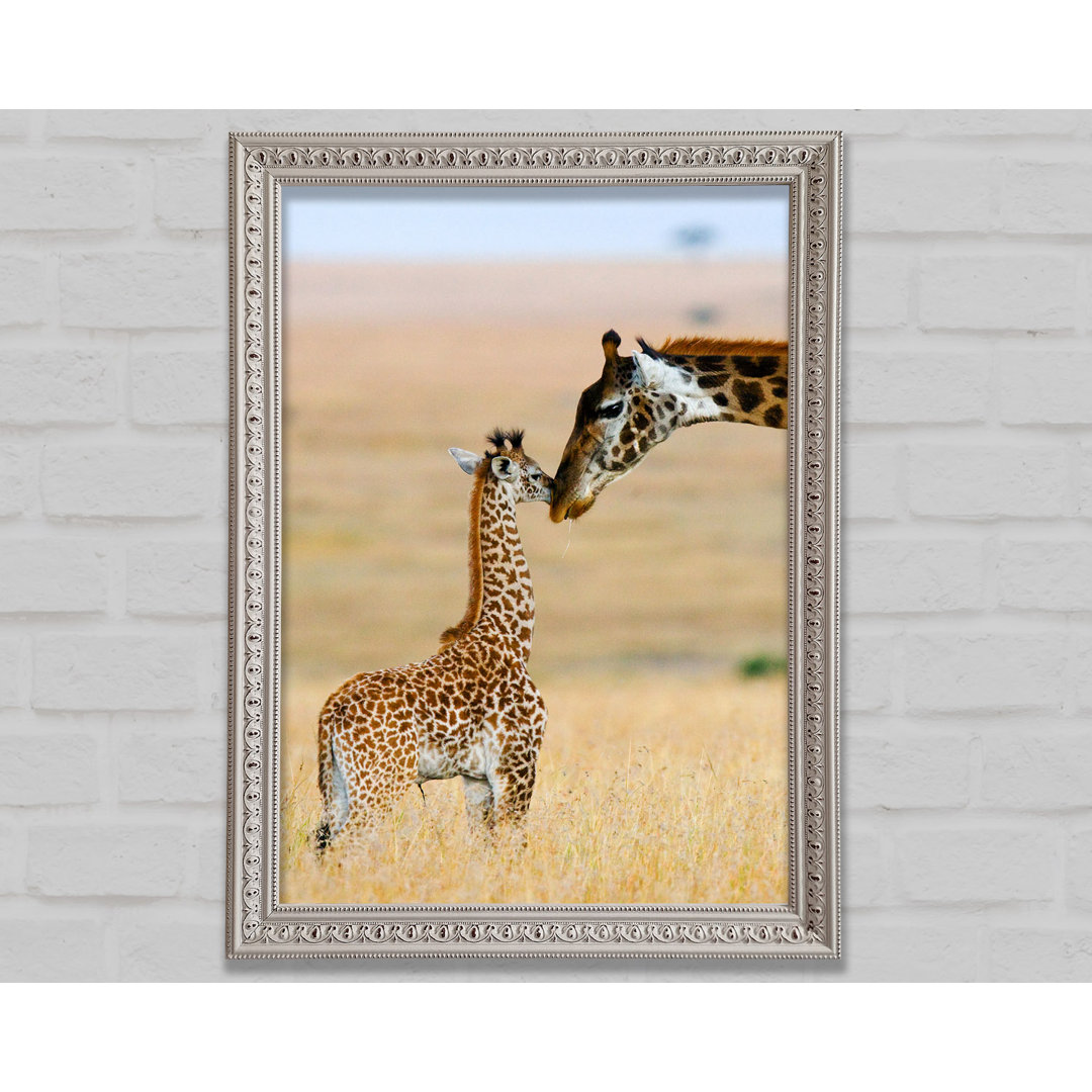 Baby Giraffe Liebe - Druck