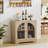 2 - Acrylic Door Accent Cabinet-1756176865