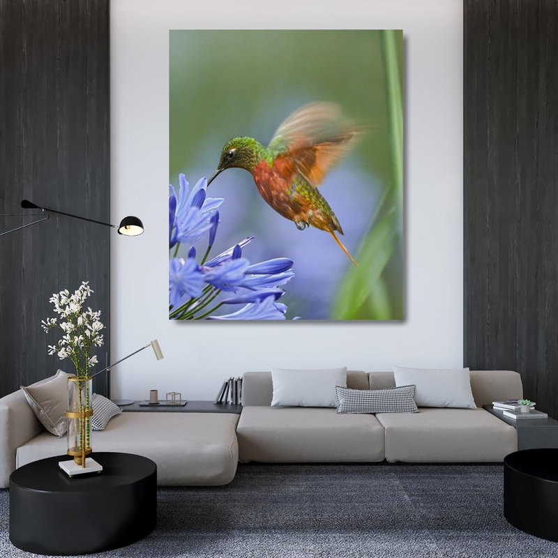 "Lark Manor ™", Fitzharris, Tim, art sur toile tendue sous le titre: Colibris à poitrine brune 61405, H 44 po x l 36 po