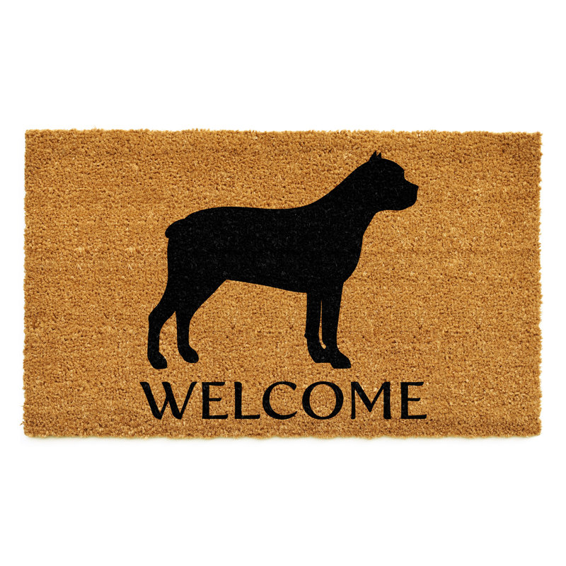 Non-Slip Doormat, 17" W x 29" L