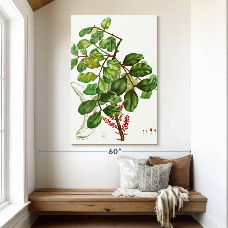Keiri Carob Tree, 51" H x 34" W