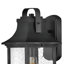 Grant Outdoor Wall Lantern-329823412-329823409