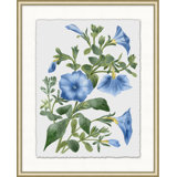 Floral Study 2 Print