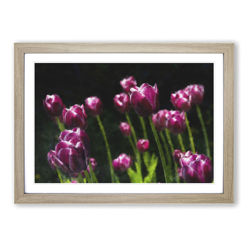 Pink Tulip Flowers - Framed Print, 48cm H x 65cm W x 2cm D, Oak Framed
