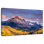 Alvord Mountain Foliage