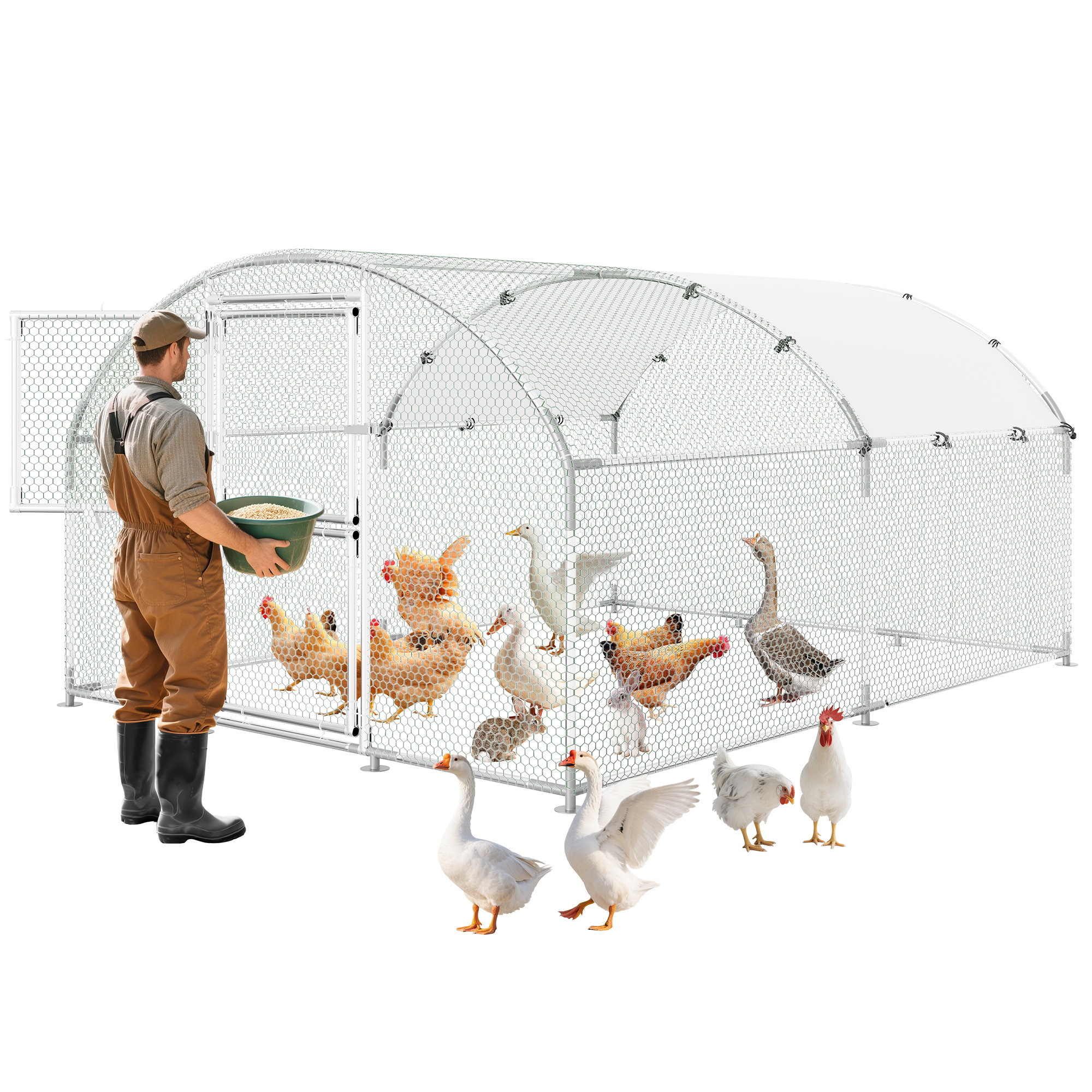 Poultry Rack Design Ebern Designs 9.8ft*19ft*6.5ft Heavy Duty Walk-In Metal Chicken Coop ...