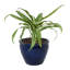 Pot de fleurs extérieur rond en céramique 14,5 po x 14,5 po x 11,25 po Alawi - bleu impérial-1361593262
