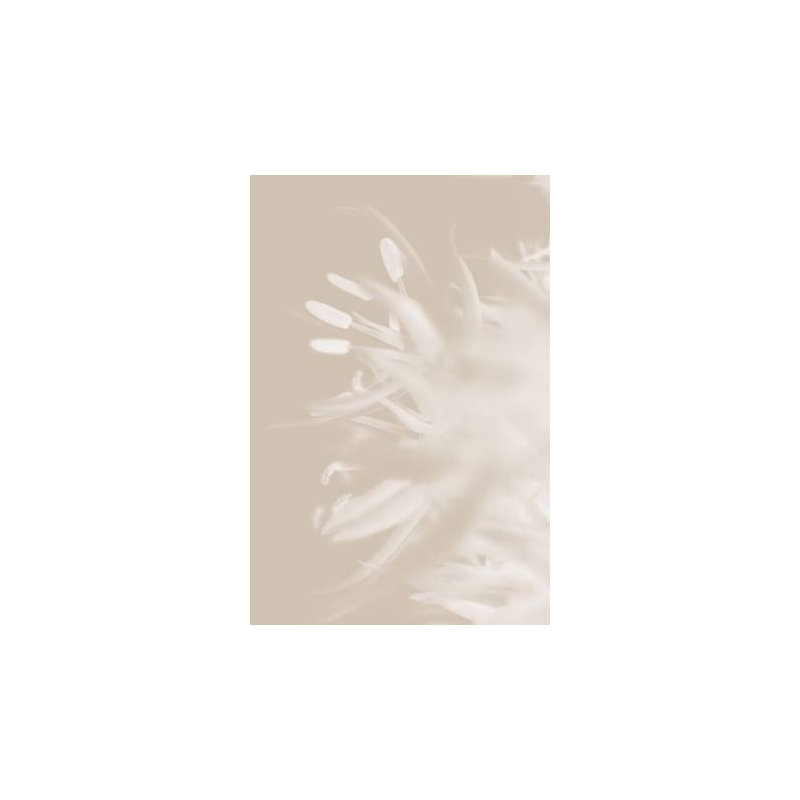 Wrapped Canvas Print, 50.8cm H x 76.2cm W