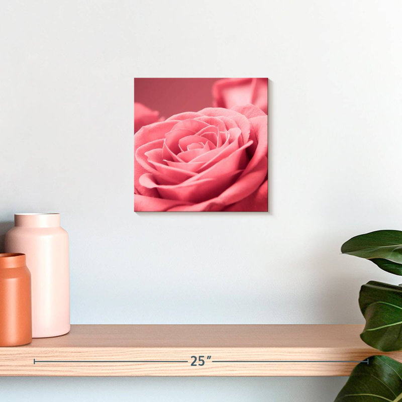 Macro de rose, H 10 po x l 10 po