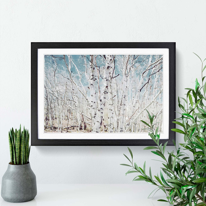 Birch Trees in Utah in Abstract - Picture Frame Graphic Art Print, 27cm H x 36cm W x 2cm D, Black Framed