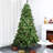 6' Christmas Tree-116970416