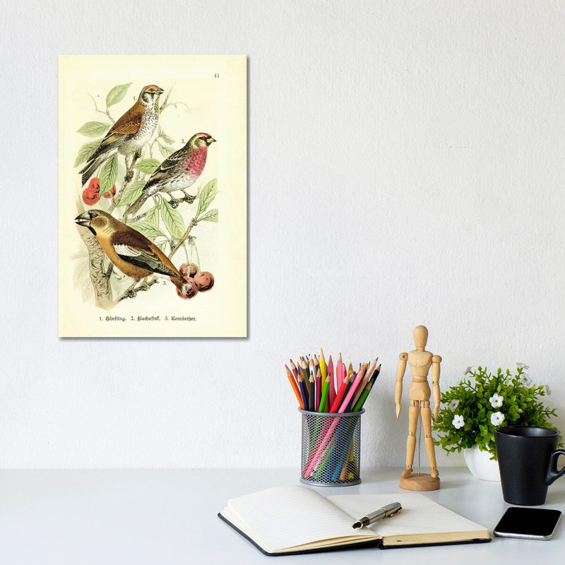 Hawfinch And Friends by Tina Higgins - No Frame Gallery-Wrapped Canvas Giclée on Canvas