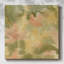 Toile tendue Botanical Aura I-Gallery-1074981162