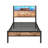 Twin Size Bed Frame With Metal Storage Headboard, Charging Outlets, Led Lighting, Stable Build, Under Smart Led, Bed, No Box Spring, Room-1486155564
