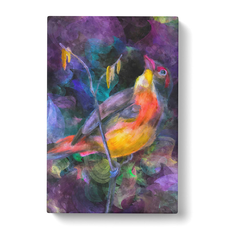 Colourful Bird - Wrapped Canvas Print, 76cm H x 50cm W x 3cm D