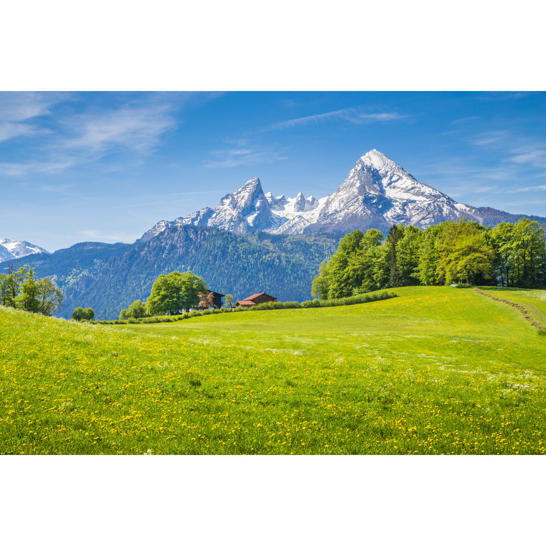 Leinwandbild Idyllische Landschaft in den Alpen mit grünen Wiesen und Blumen von Bluejayphoto