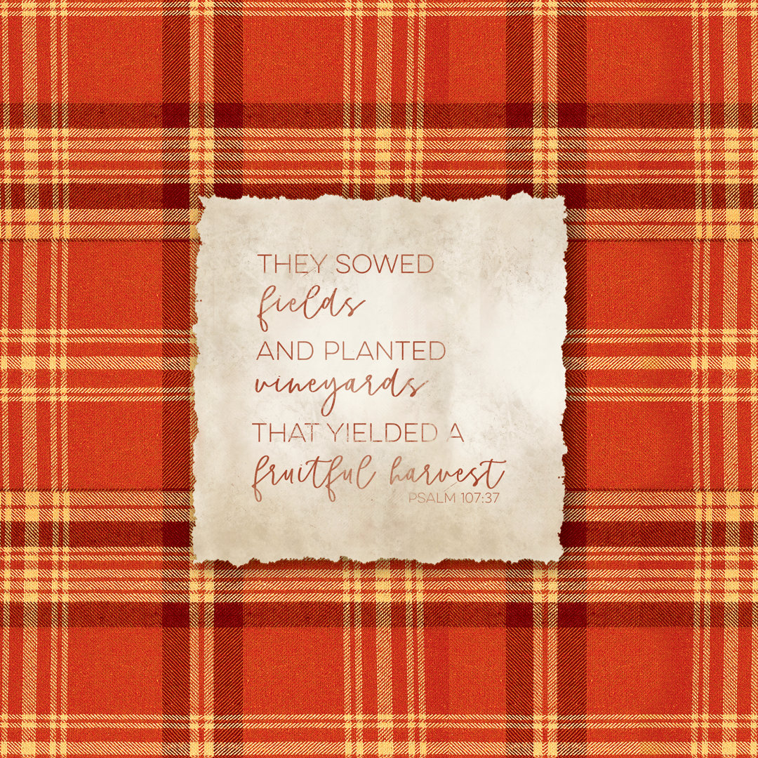 Plaid Harvest Psalm 2