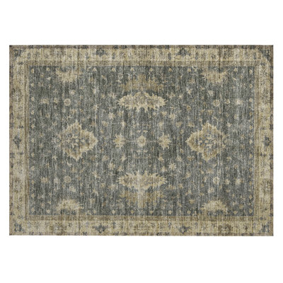 Machine Washable Indoor/Outdoor Xhevrie Gray Rug