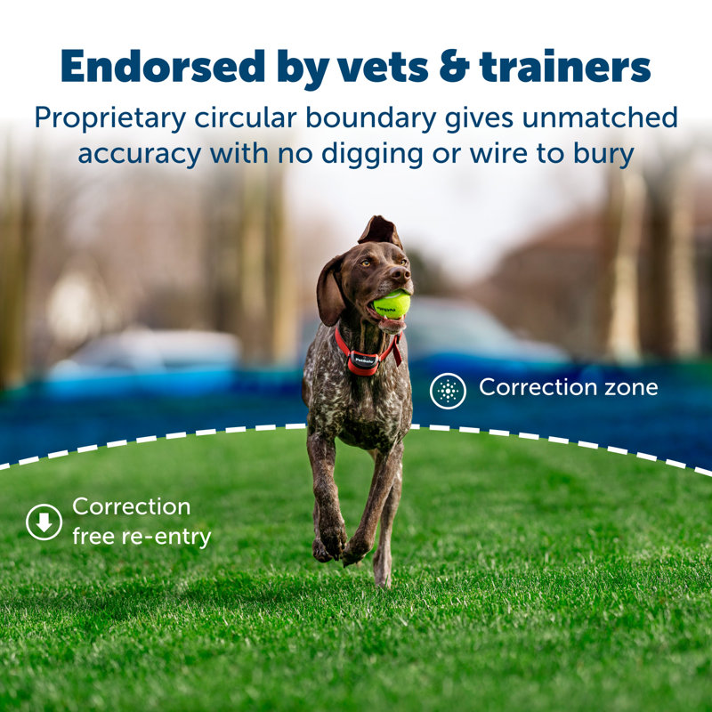 PetSafe Stay & Play Wireless Fence for Stubborn Dogs with Adjustable Collar