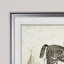 « équin sketch vii », impression-28042139-28042307-28042311